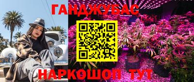 хмурый Канаш