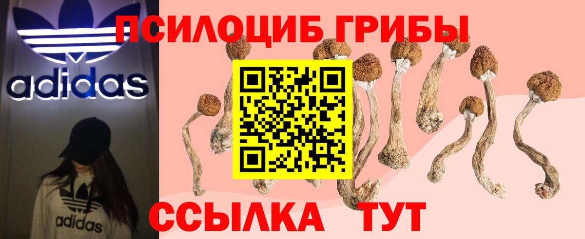 Галлюциногенные грибы MAGIC MUSHROOMS Кстово